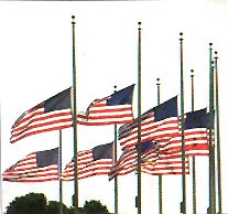 American Flags